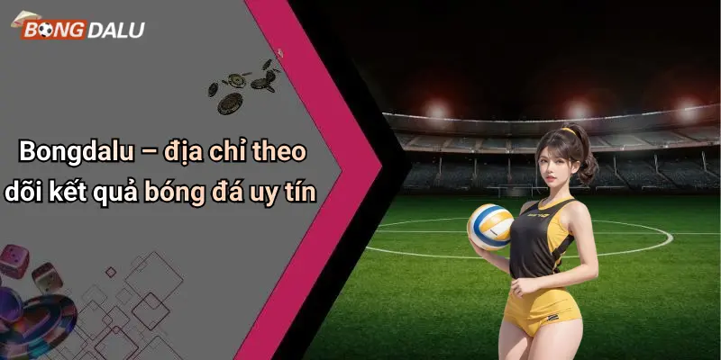 Bongdalu – địa chỉ theo dõi kết quả bóng đá uy tín