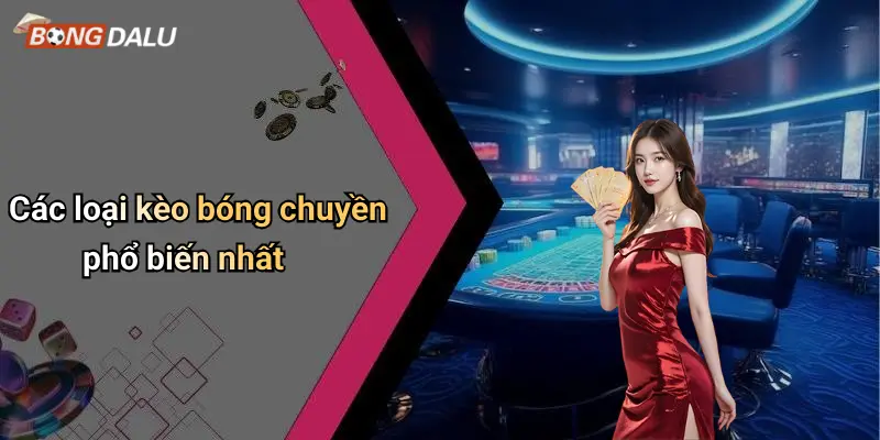 Các loại kèo bóng chuyền phổ biến nhất