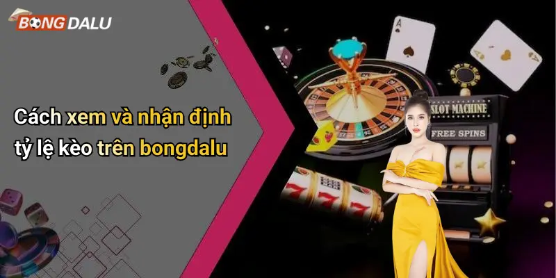 TỶ LỆ KÈO 3 Cách xem và nhận định tỷ lệ kèo trên bongdalu