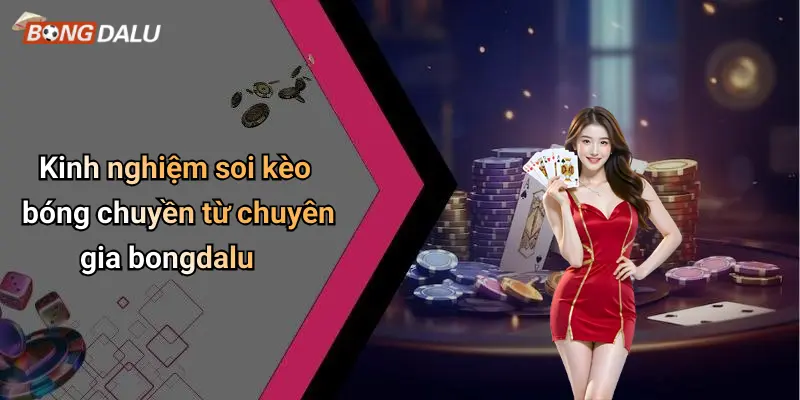 Kinh nghiệm soi kèo bóng chuyền từ chuyên gia bongdalu