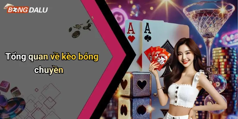 Tổng quan về kèo bóng chuyền