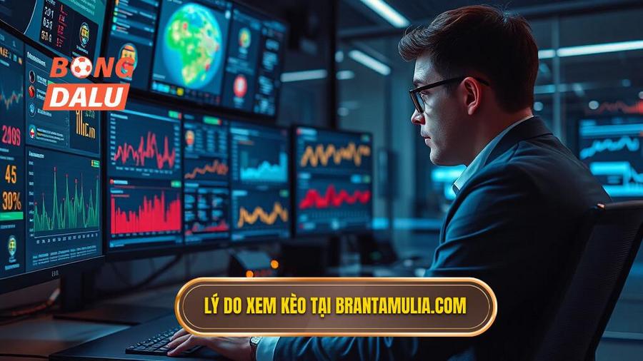 2. Tại sao nên theo dõi Bảng kèo nhà cái chính thức tại brantamulia.com?